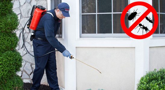 Onikişubat Bit İlaçlama böcek ilaçlama ve haşere kontrolü — ilaclama-tr.com